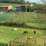 In Cascina -la Cascinetta Di Ali- アパート Roatto