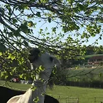 In Cascina -la Cascinetta Di Ali- アパート