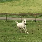In Cascina -la Cascinetta Di Ali- アパート