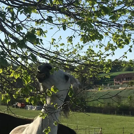 In Cascina -la Cascinetta Di Ali- Apartamento