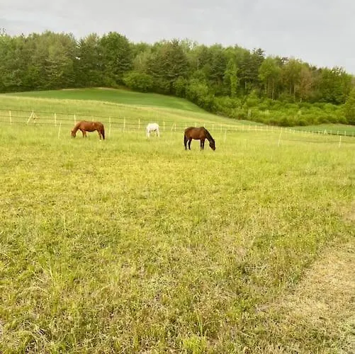 شقة In Cascina -la Cascinetta Di Ali- Roatto