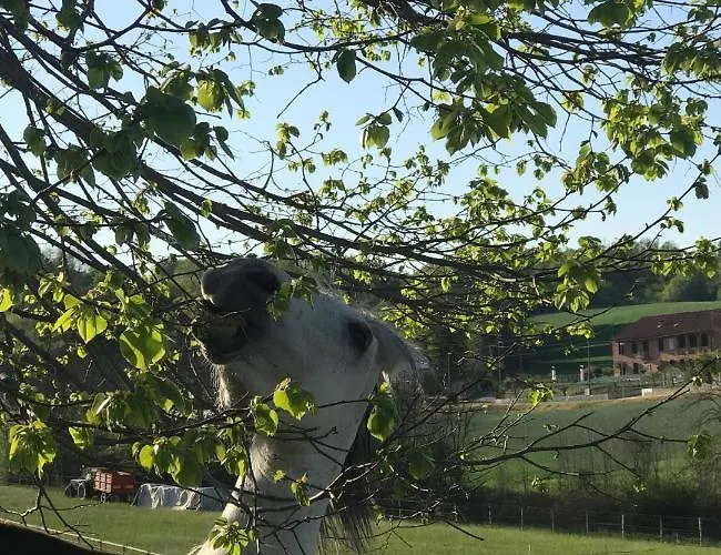 In Cascina -la Cascinetta Di Ali- Apartmán